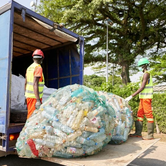 waste disposal companies